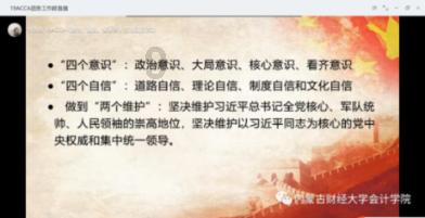 救援小犬立苏